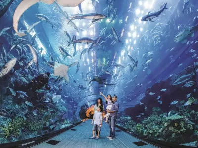 Dubai Tour Package from Nepal